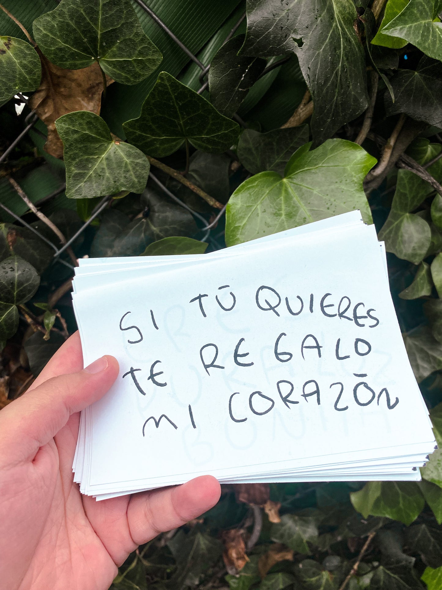 30 CARTAS COSAS QUE TE QUERIA DECIR / TORNAGRIS