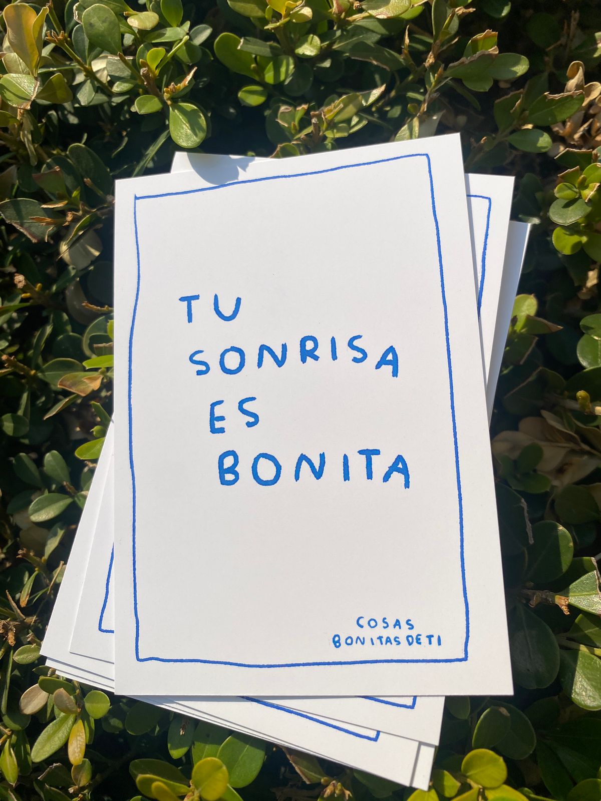 COSAS BONITAS DE TI / TORNAGRIS - TORNA GRIS - TORNAGRIS - Arte y Ropa en Mexico