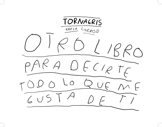 Otro libro para decirte todo lo que me gusta de ti : Torna Gris (DIGITAL - EBOOK)